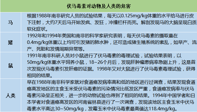 伏馬菌素對(duì)動(dòng)物及人類的危害 伏馬菌素對(duì)動(dòng)物及人類的危害